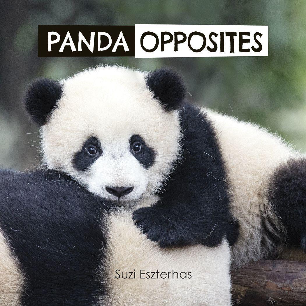 Vorderes Coverbild Panda Opposites