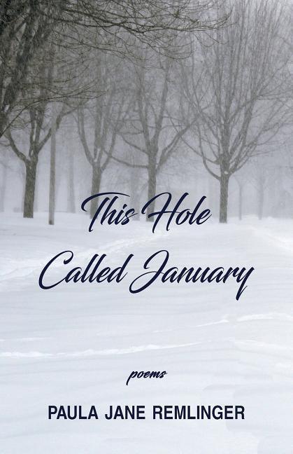 Vorderes Coverbild This Hole Called January