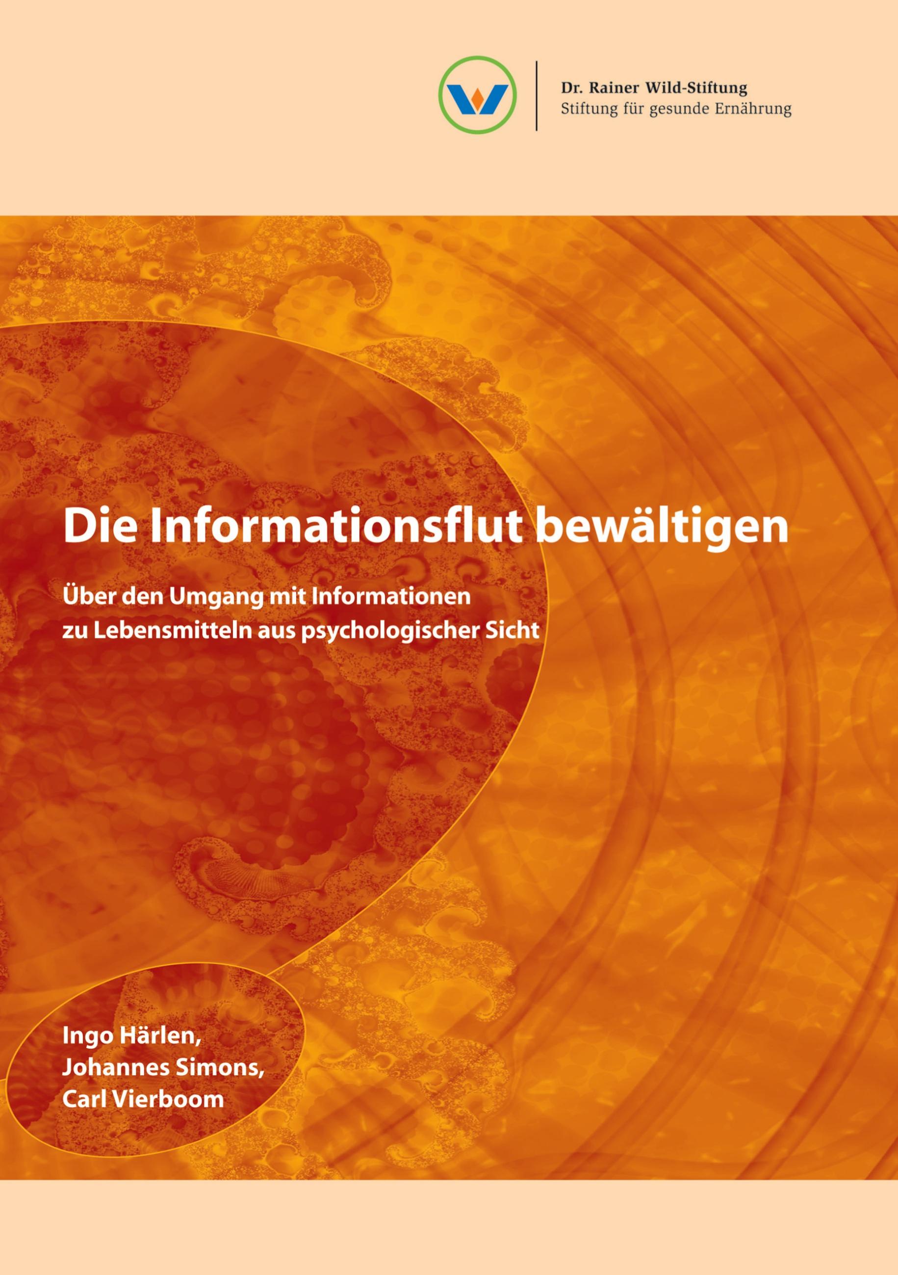 Vorderes Coverbild Die Informationsflut bewältigen