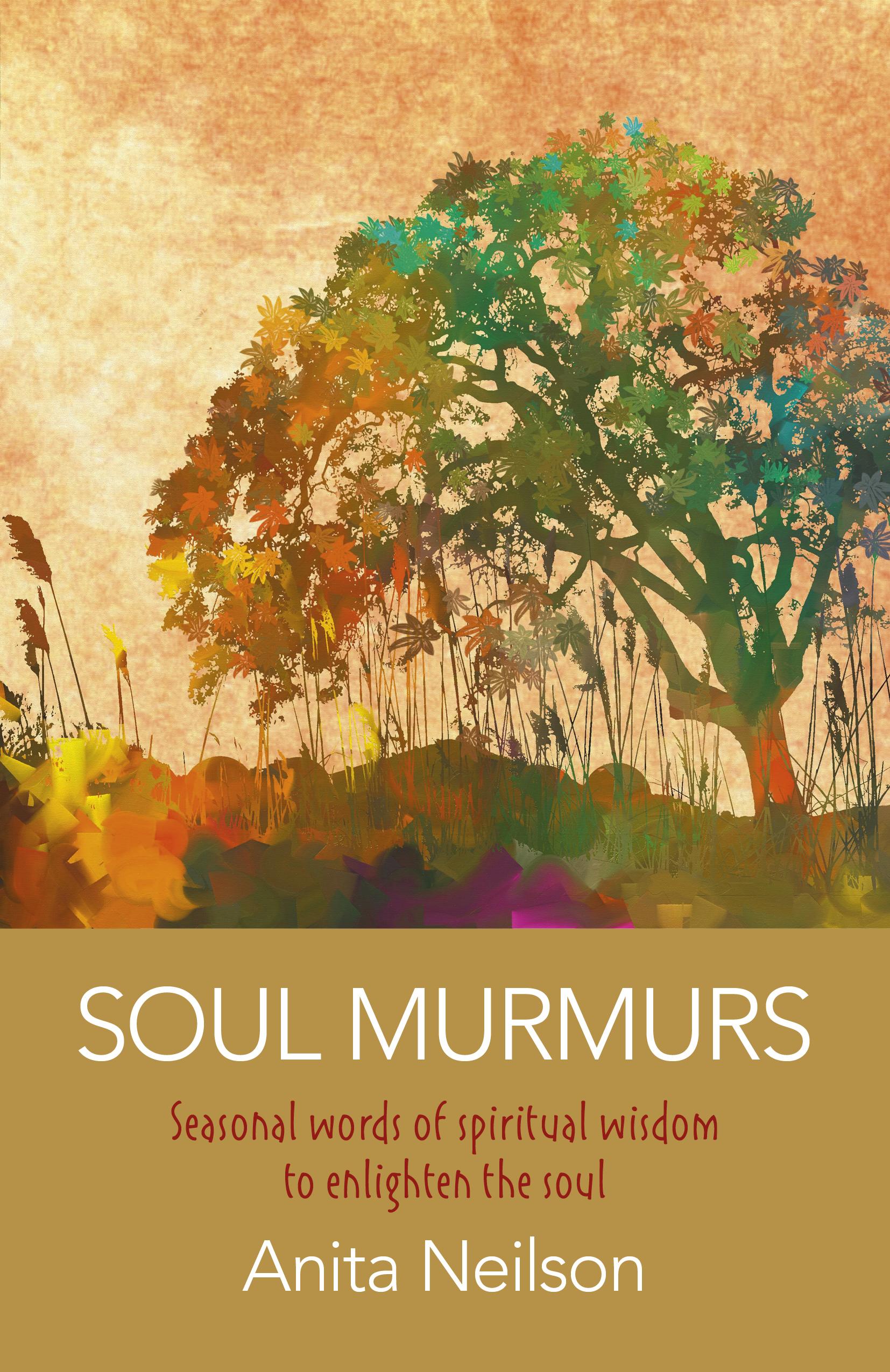 Vorderes Coverbild Soul Murmurs