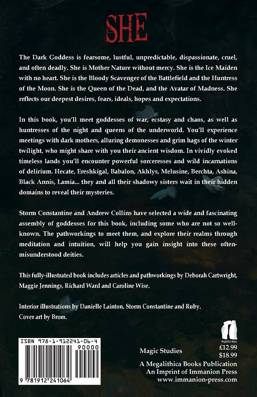 Rückseitencover SHE