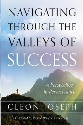 Vorderes Coverbild Navigating Through The Valleys Of Success: A Perspective In Perseverance