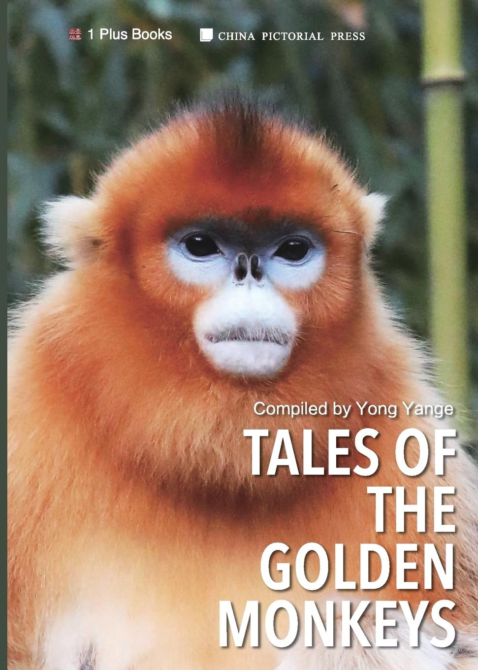 Vorderes Coverbild Tales of the Golden Monkeys