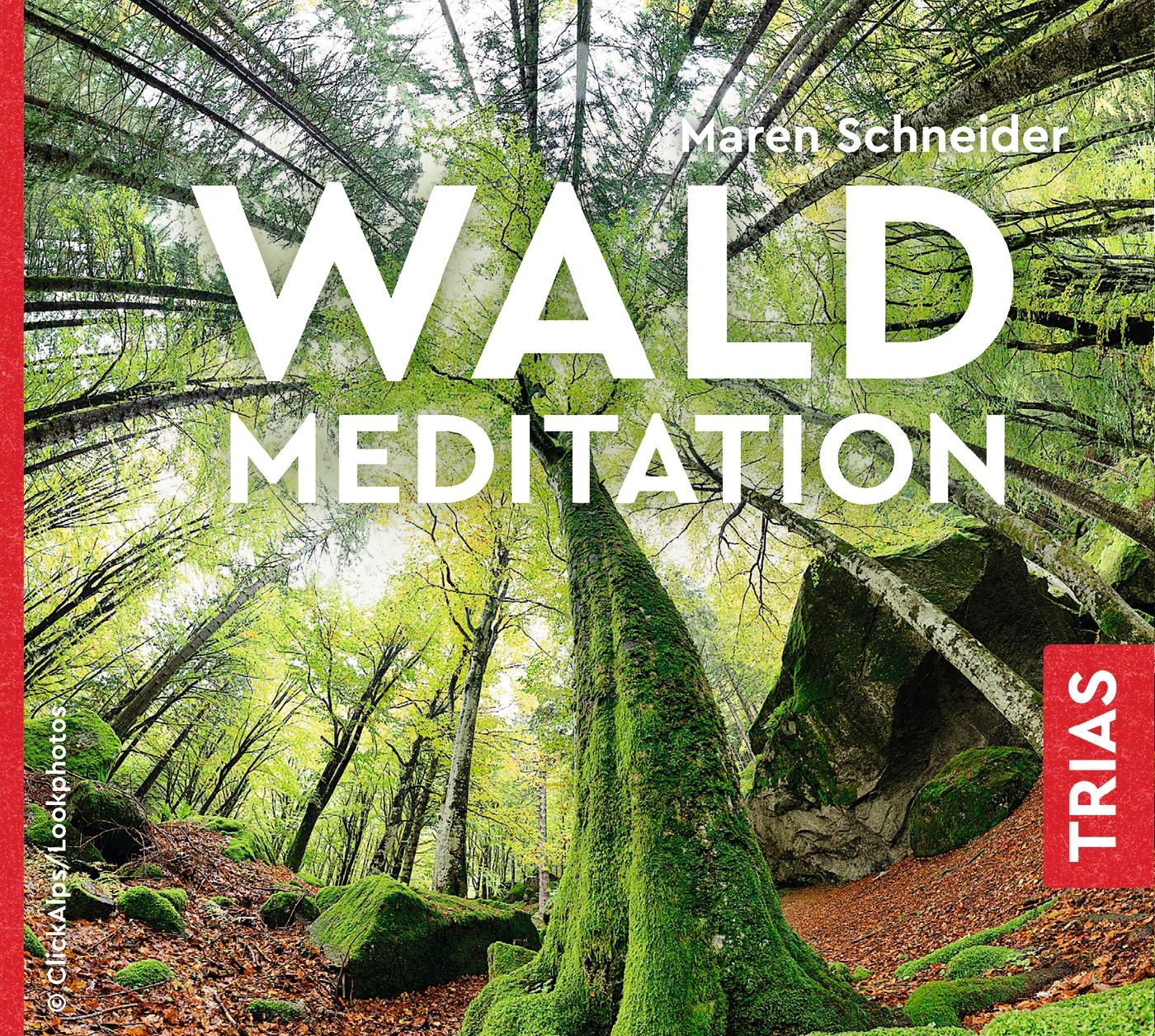 Vorderes Coverbild Waldmeditation