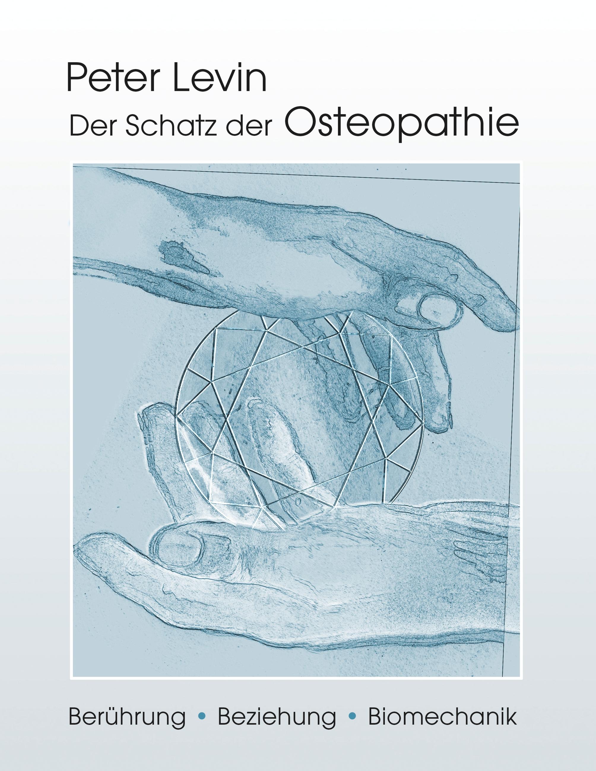 Vorderes Coverbild Der Schatz der Osteopathie