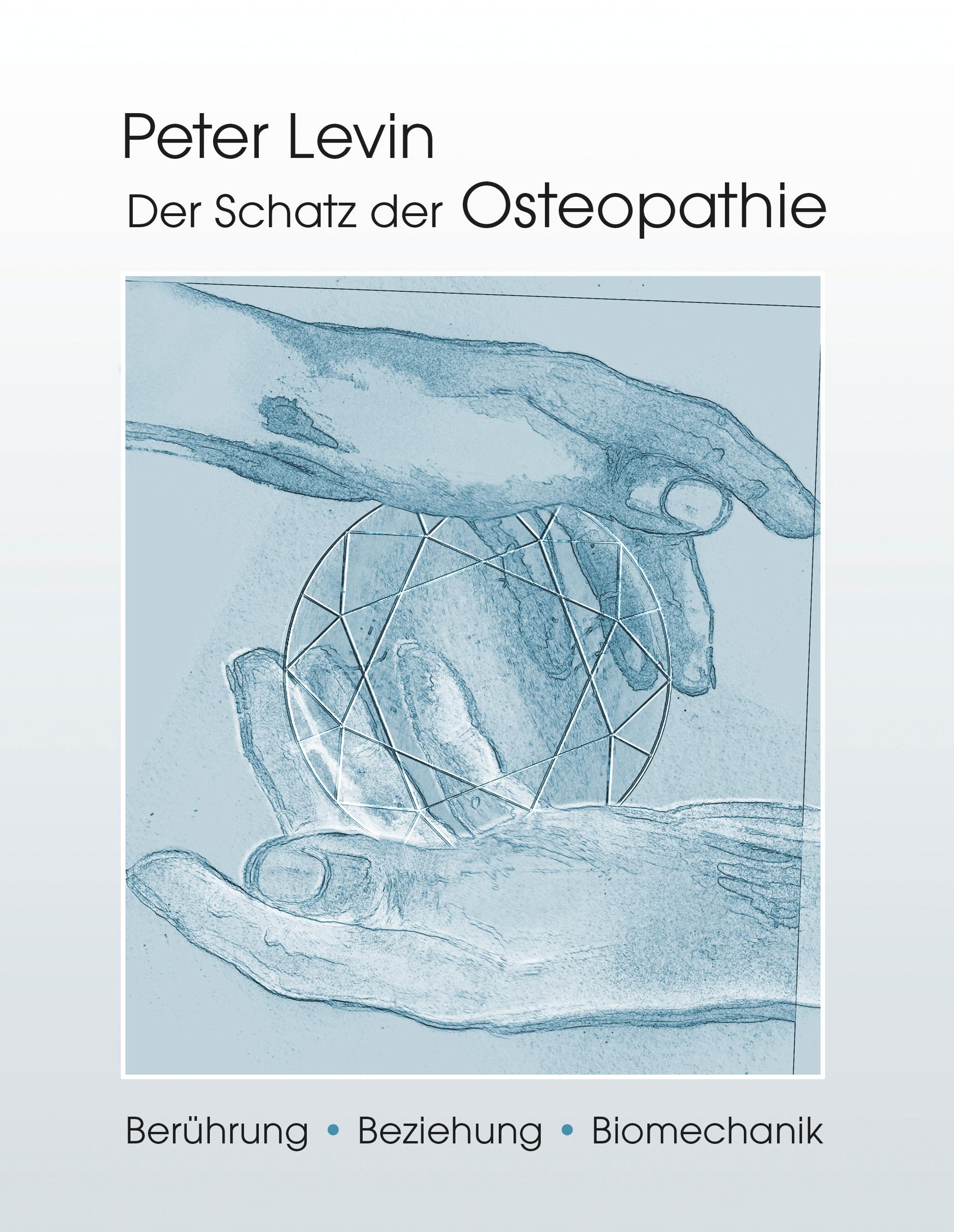 Vorderes Coverbild Der Schatz der Osteopathie