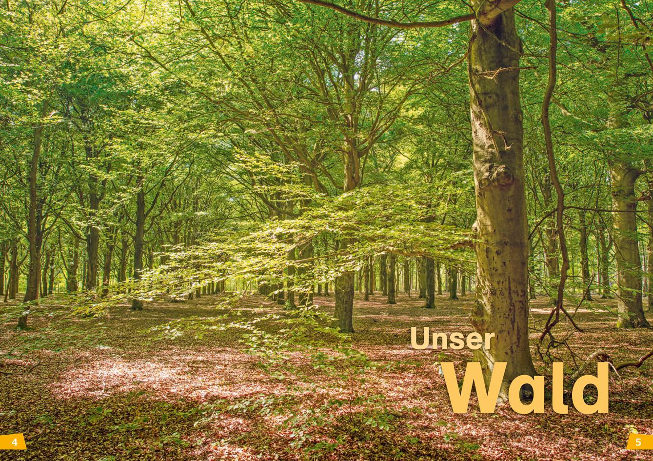 Beispielinhalt (Bild) WAS IST WAS Erstes Lesen Band 6. Wald