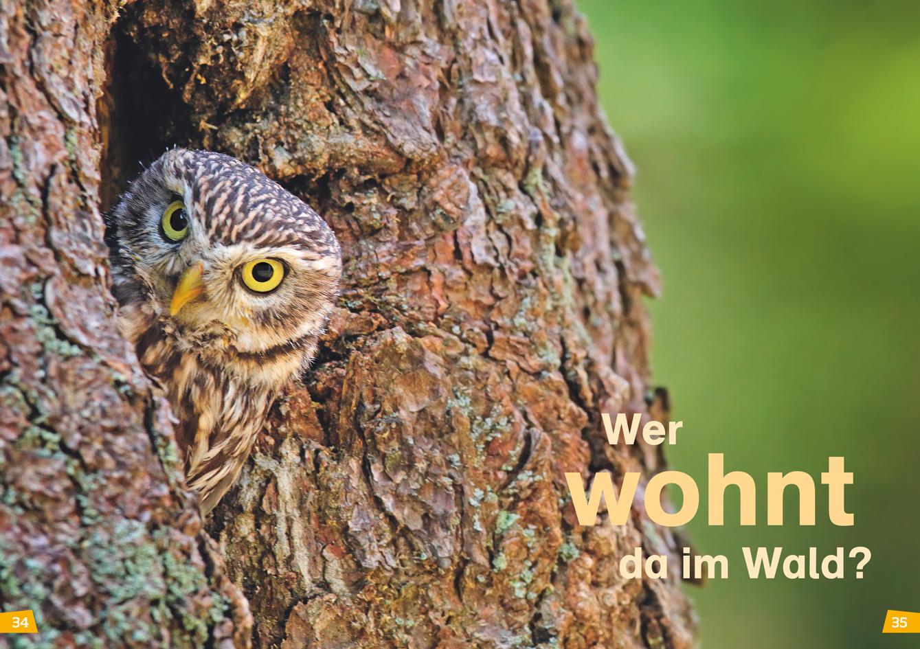 Beispielinhalt (Bild) WAS IST WAS Erstes Lesen Band 6. Wald