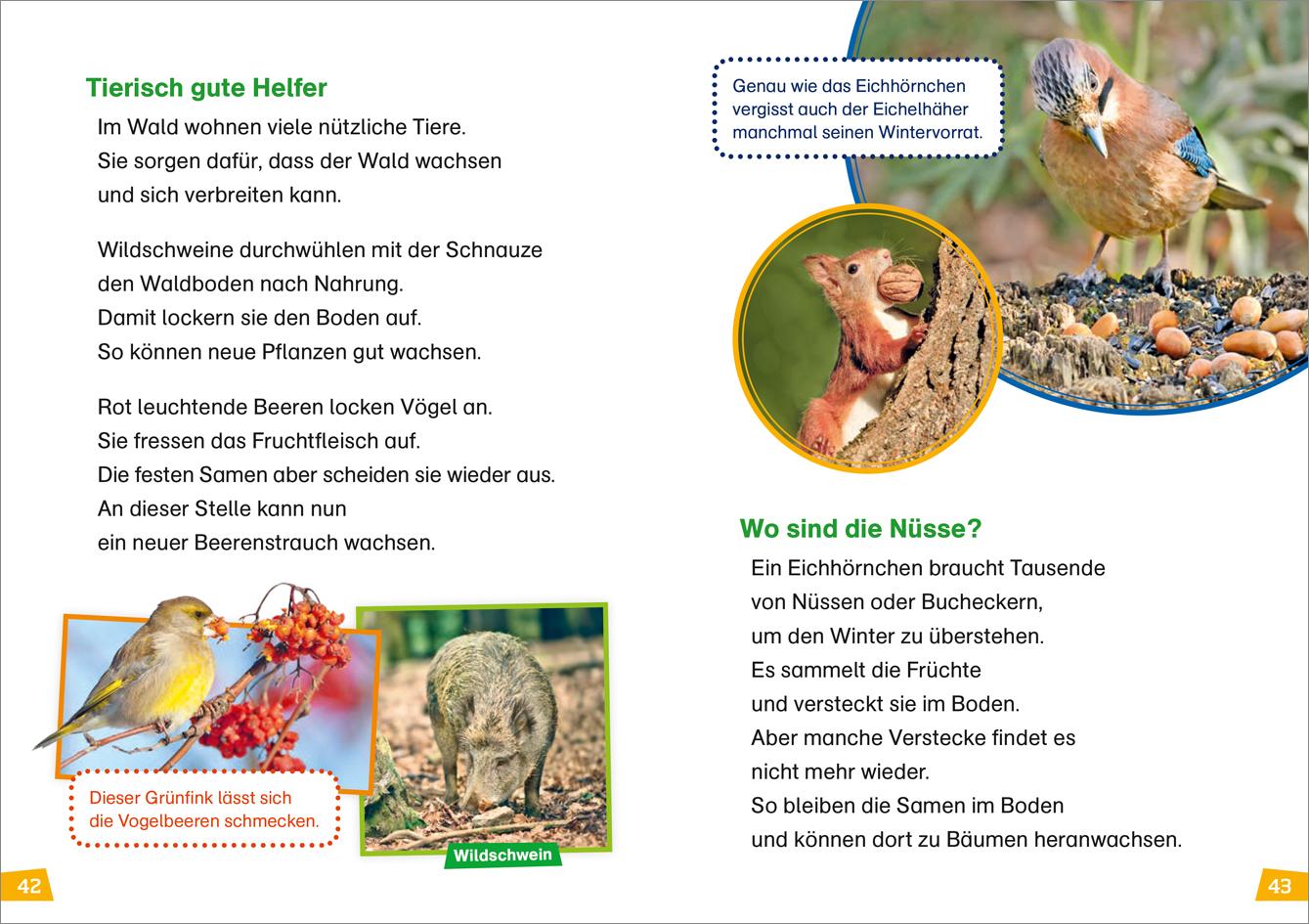 Beispielinhalt (Bild) WAS IST WAS Erstes Lesen Band 6. Wald