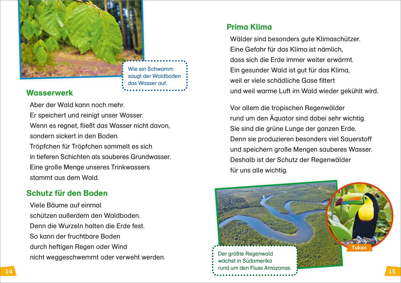 Beispielinhalt (Bild) WAS IST WAS Erstes Lesen Band 6. Wald