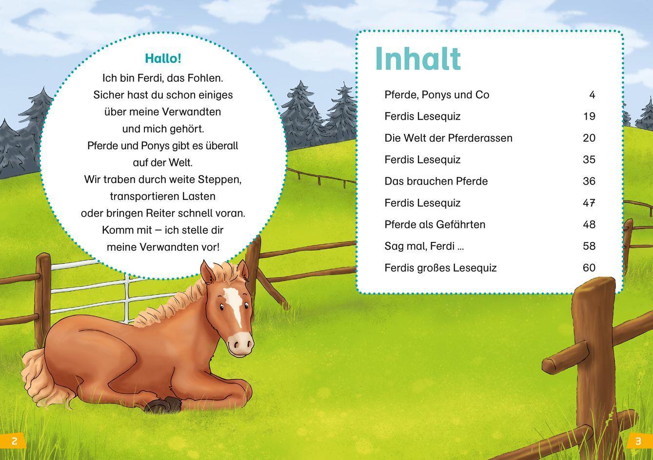 Beispielinhalt (Bild) WAS IST WAS Erstes Lesen Band 7. Pferde und Ponys