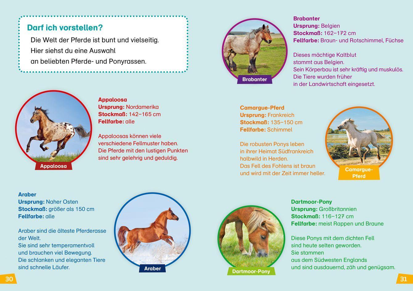 Beispielinhalt (Bild) WAS IST WAS Erstes Lesen Band 7. Pferde und Ponys