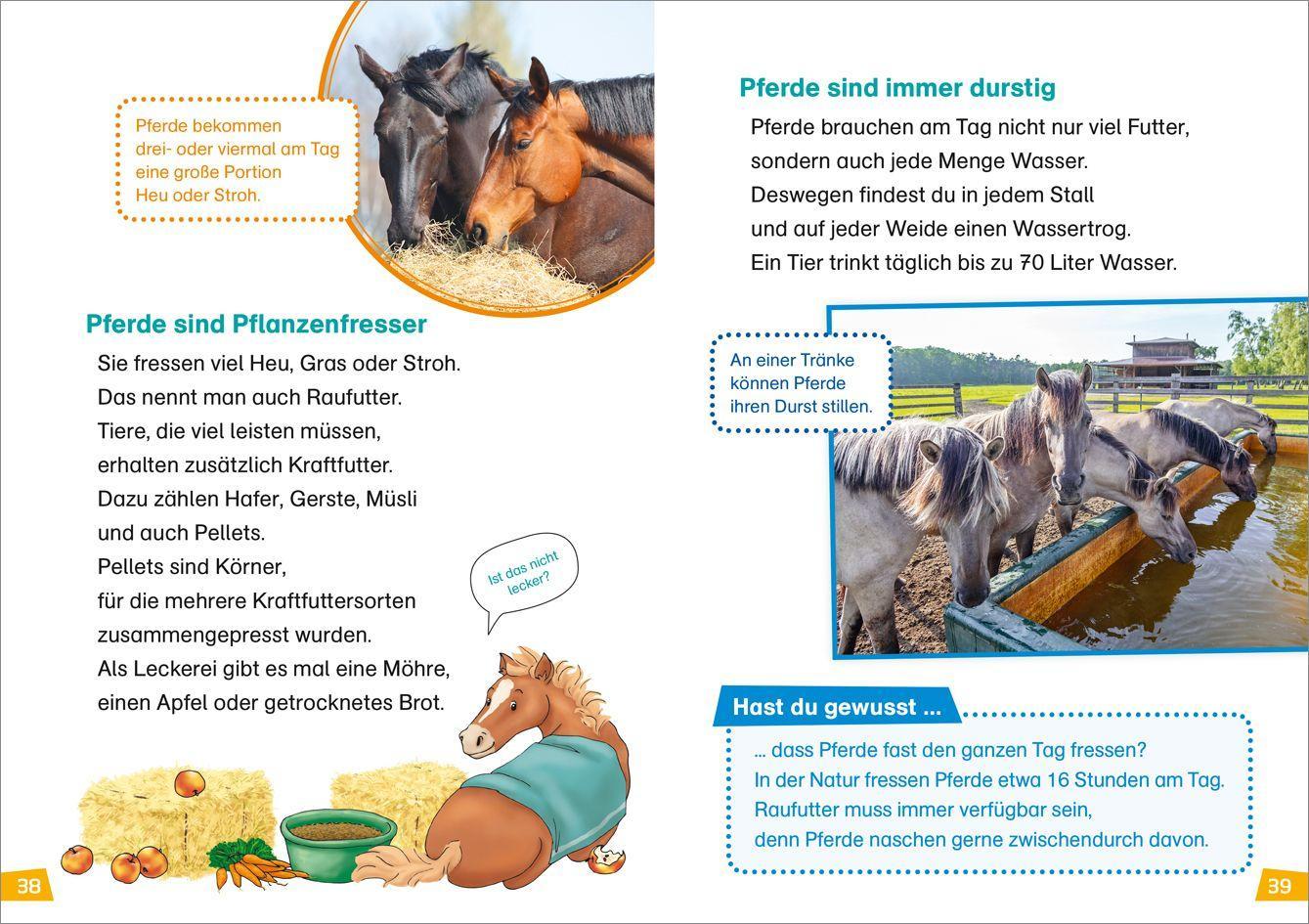 Beispielinhalt (Bild) WAS IST WAS Erstes Lesen Band 7. Pferde und Ponys