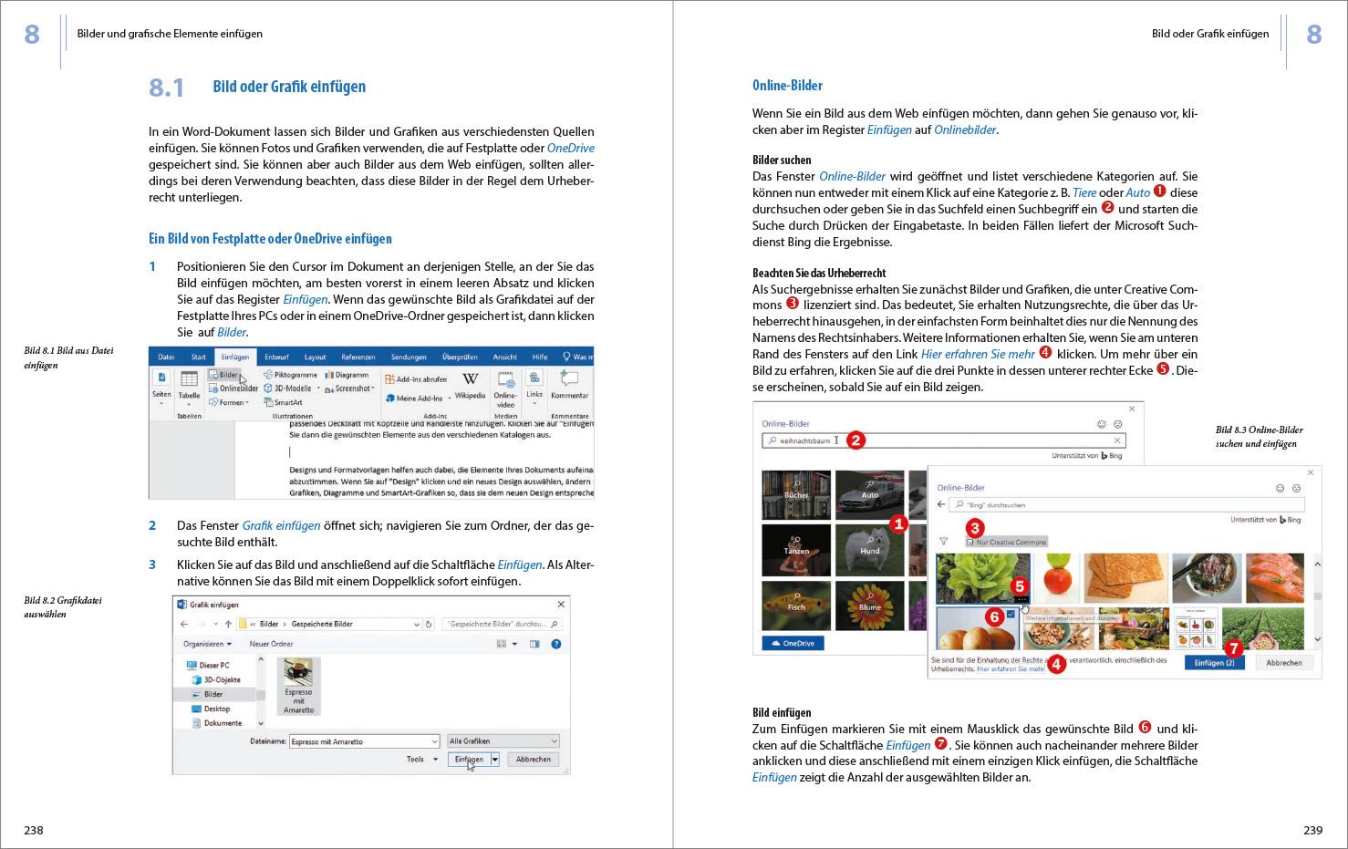 Beispielinhalt (Bild) Word 2019 - Stufe 1: Grundlagen