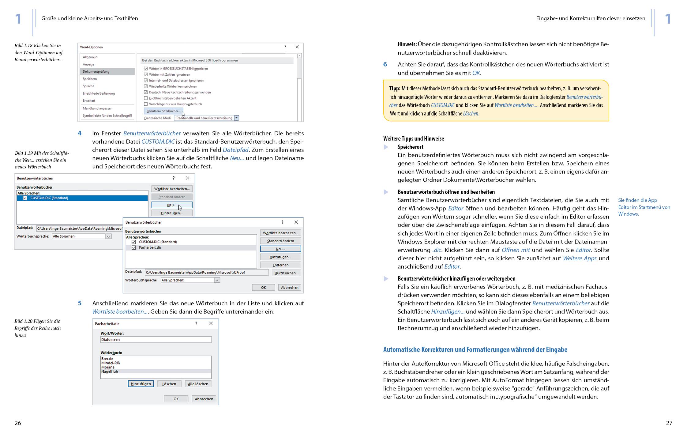 Beispielinhalt (Bild) Word 2019 - Stufe 2: Aufbauwissen
