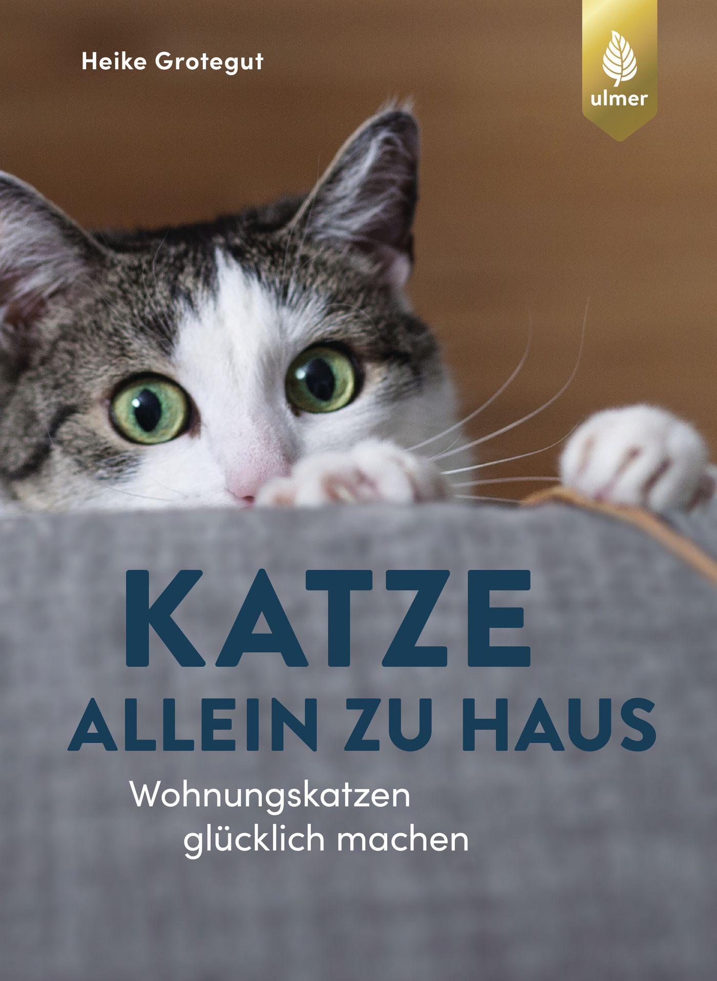 Vorderes Coverbild Katze allein zu Haus