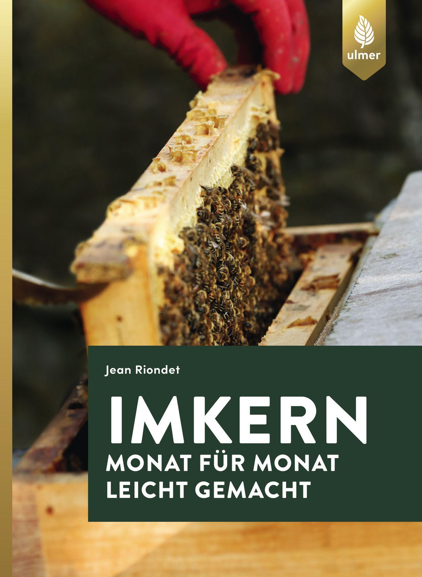 Vorderes Coverbild Imkern Monat für Monat