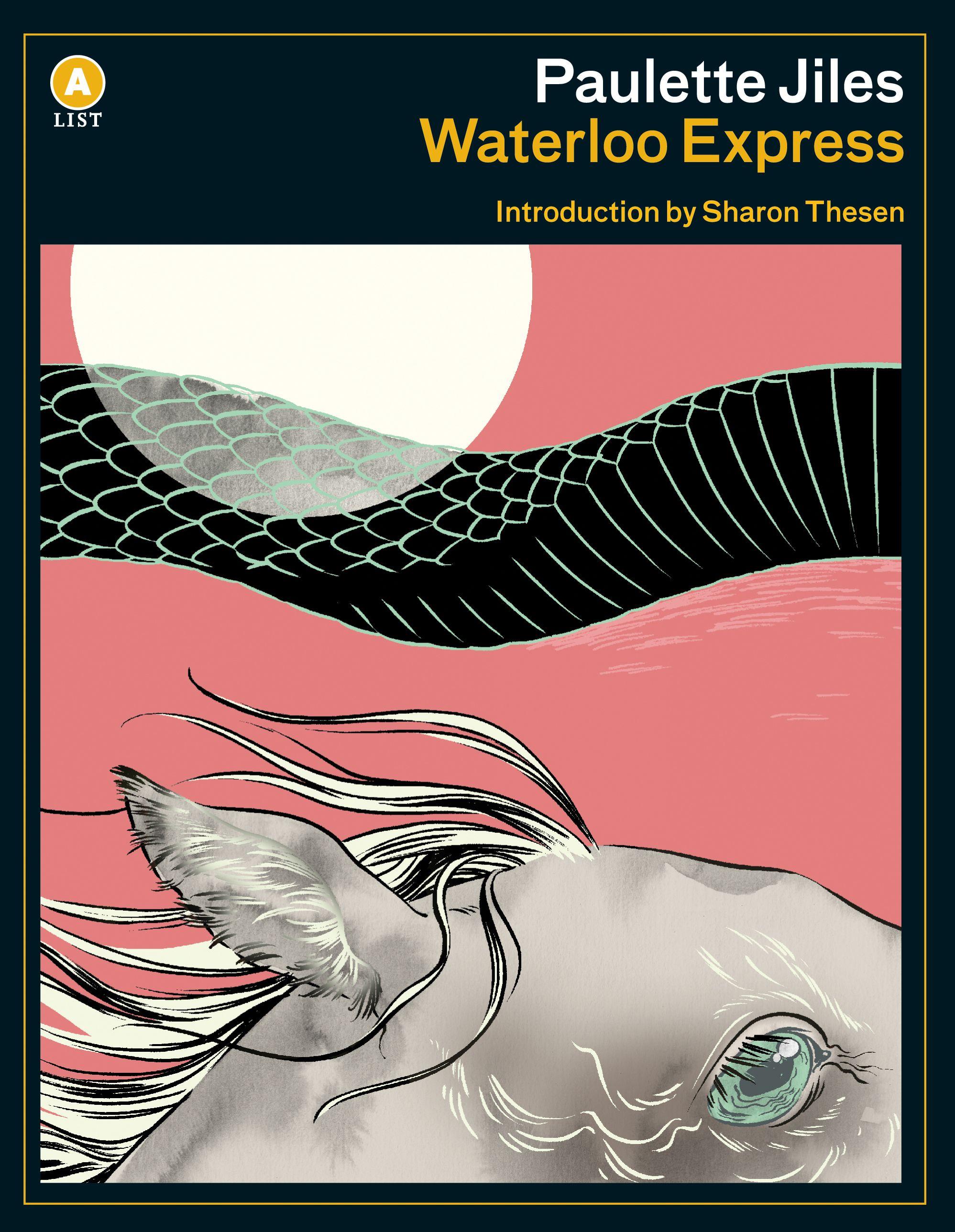 Vorderes Coverbild Waterloo Express