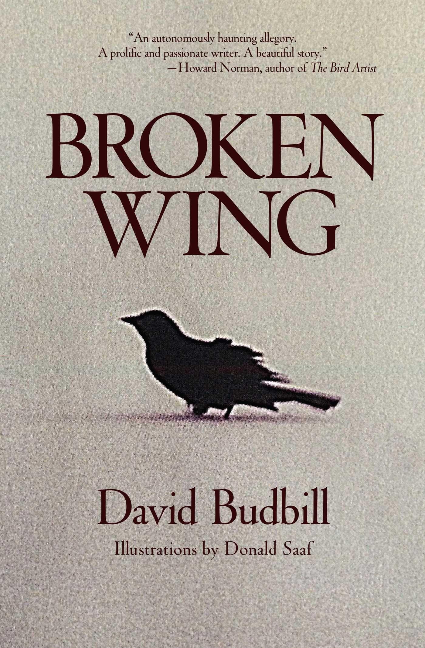 Vorderes Coverbild Broken Wing