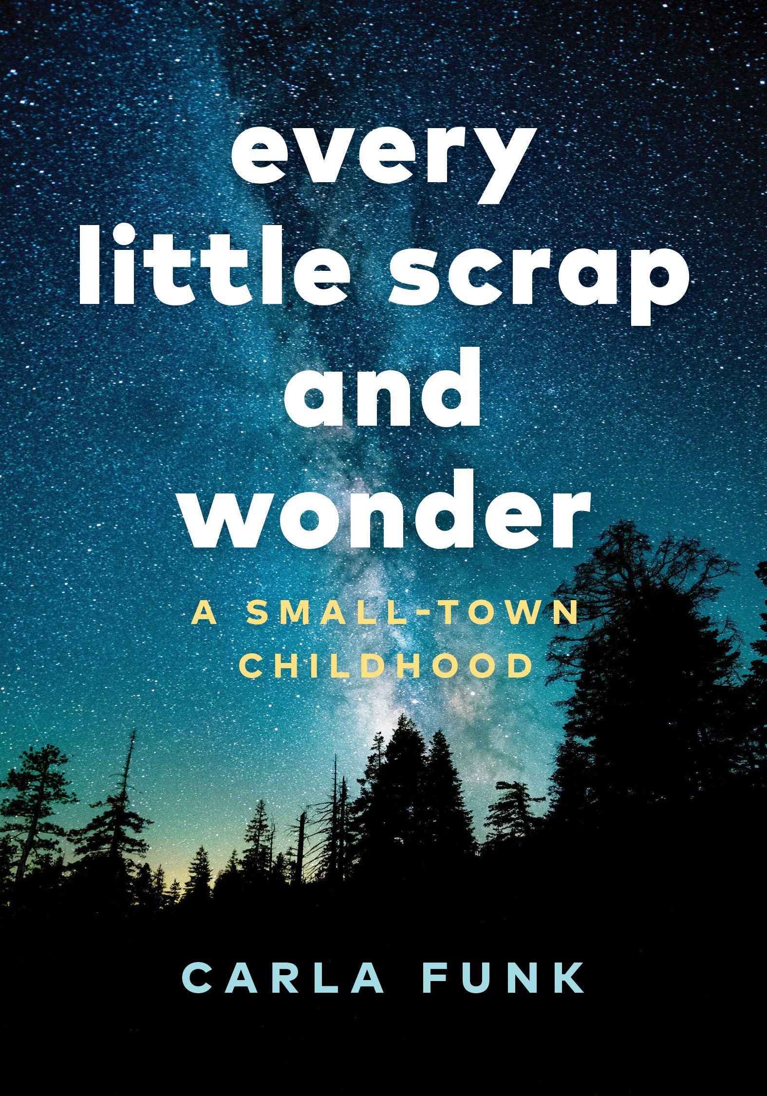 Vorderes Coverbild Every Little Scrap and Wonder
