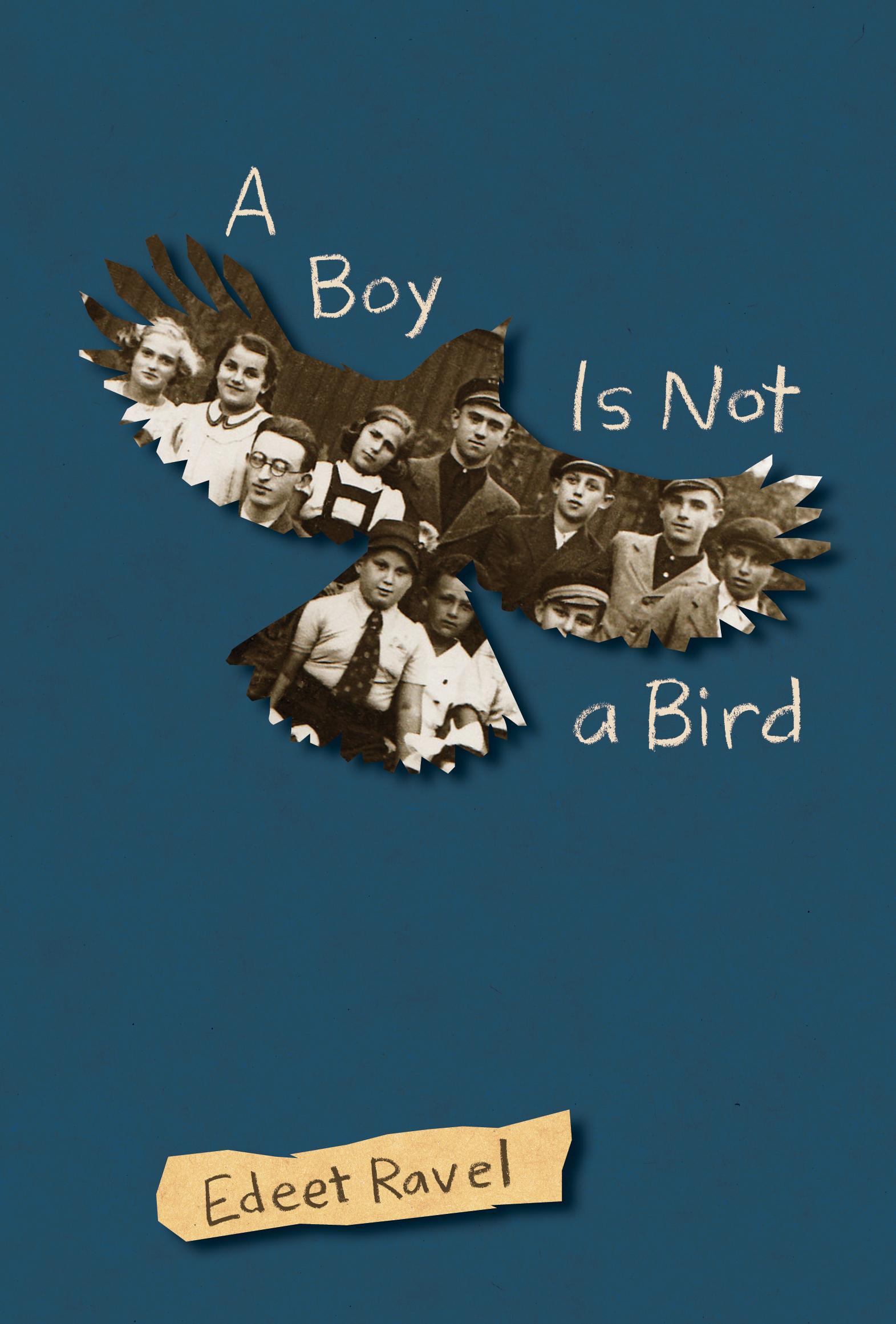 Vorderes Coverbild A Boy Is Not a Bird