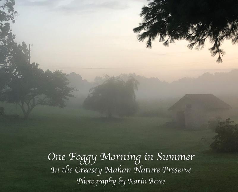 Vorderes Coverbild One Foggy Morning in Summer: In the Creasey Mahan Nature Preserve