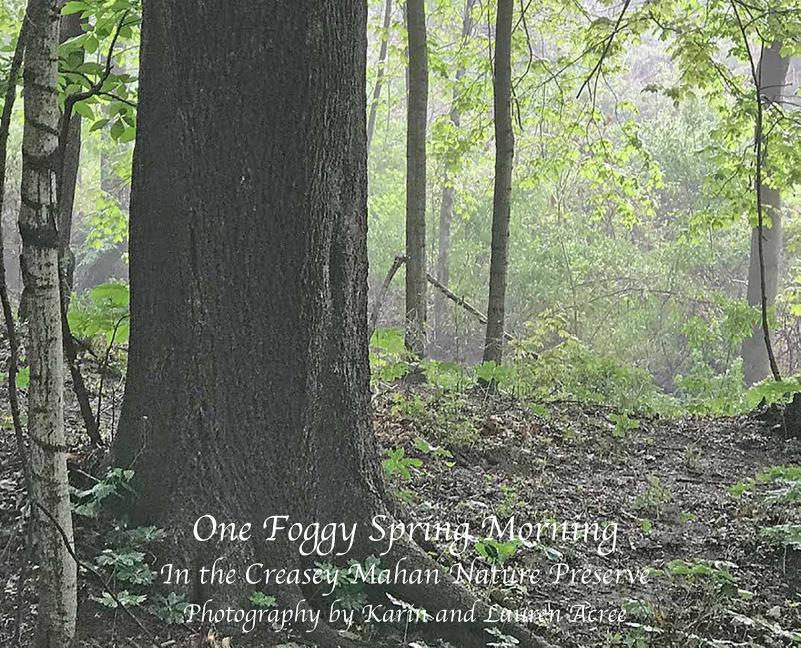 Vorderes Coverbild One Foggy Morning in Spring: In the Creasey Mahan Nature Preserve