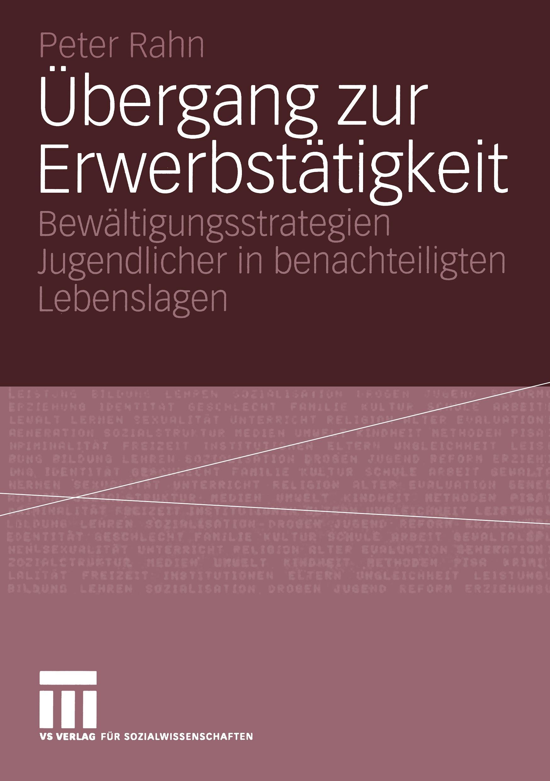 Vorderes Coverbild Übergang zur Erwerbstätigkeit