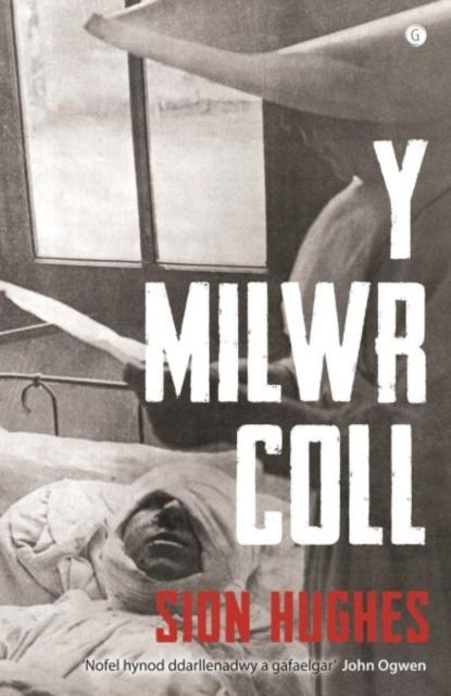 Vorderes Coverbild Milwr Coll, Y