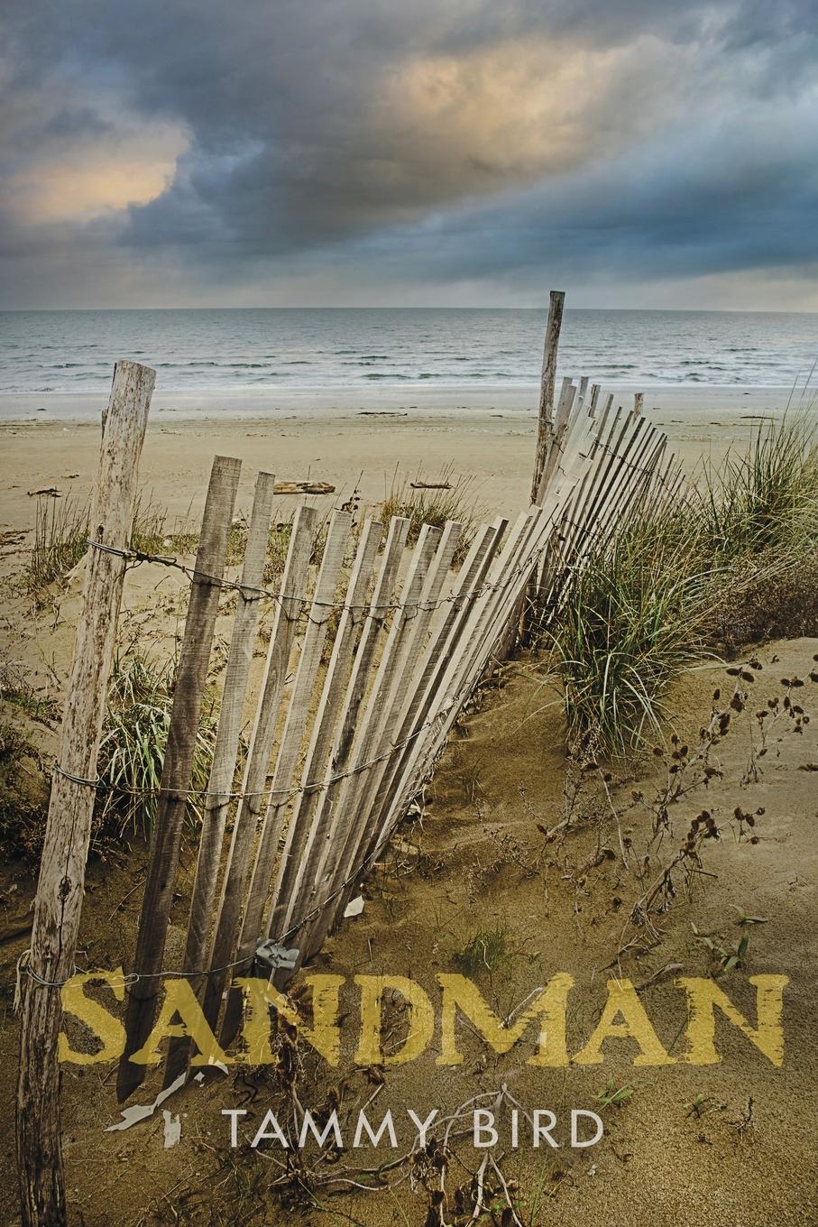 Vorderes Coverbild Sandman