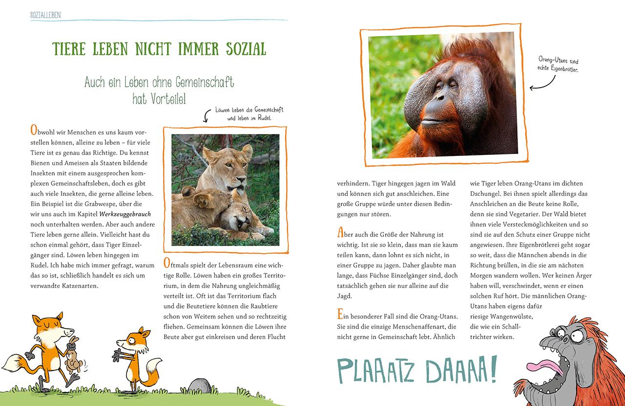 Beispielinhalt (Bild) Wie Tiere denken und fühlen