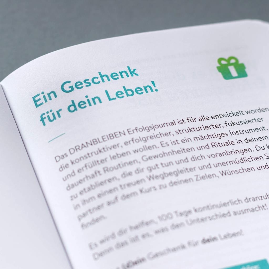 Beispielinhalt (Bild) DRANBLEIBEN Erfolgsjournal, Fresh Green