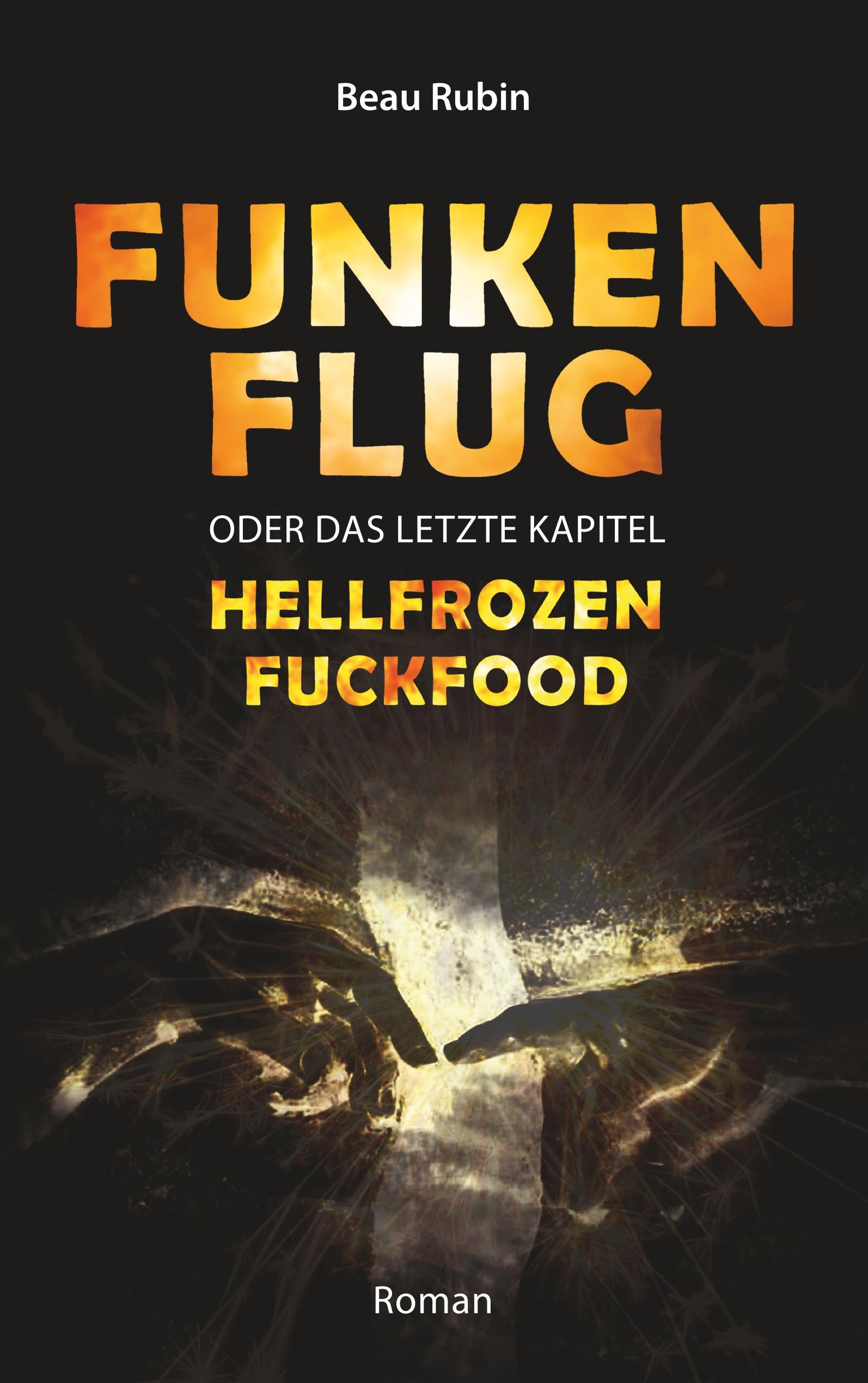 Vorderes Coverbild Funkenflug
