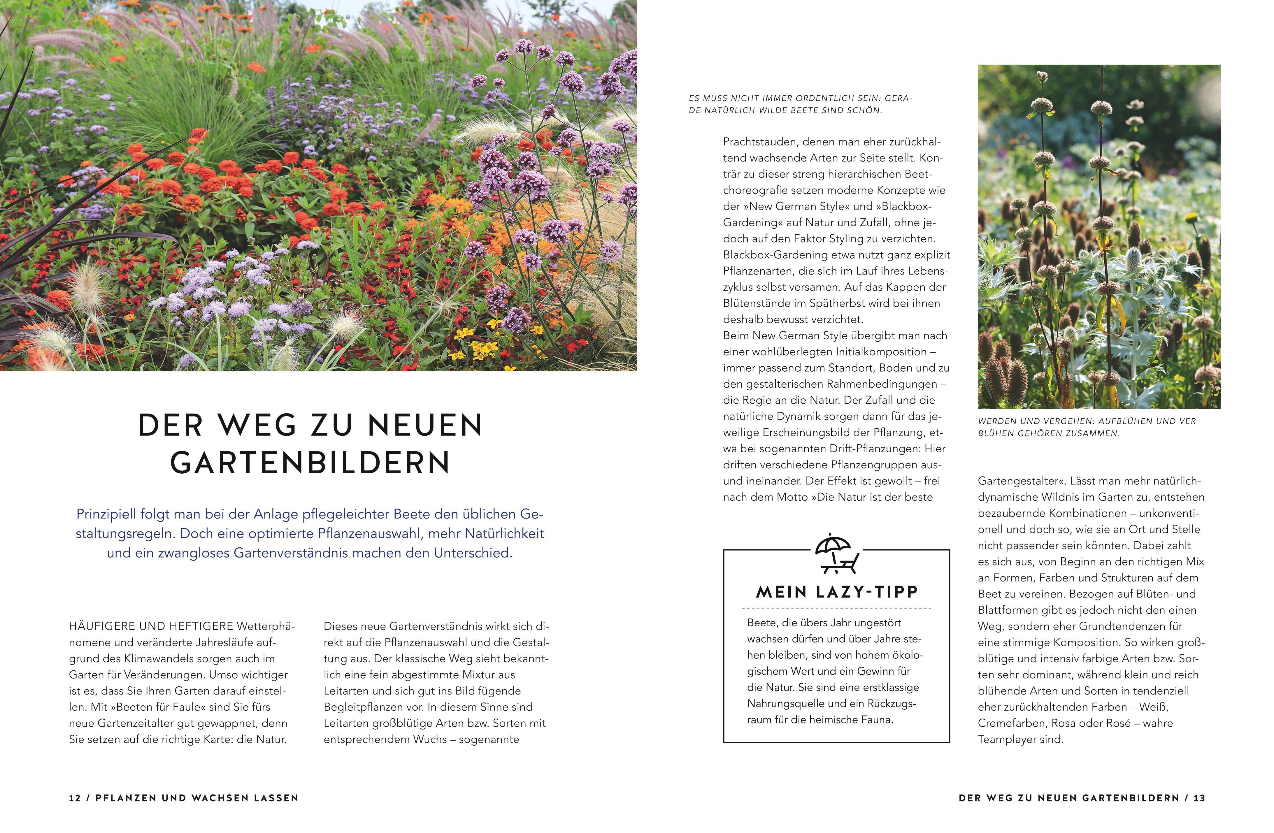 Beispielinhalt (Bild) Schöne Beete für Faule