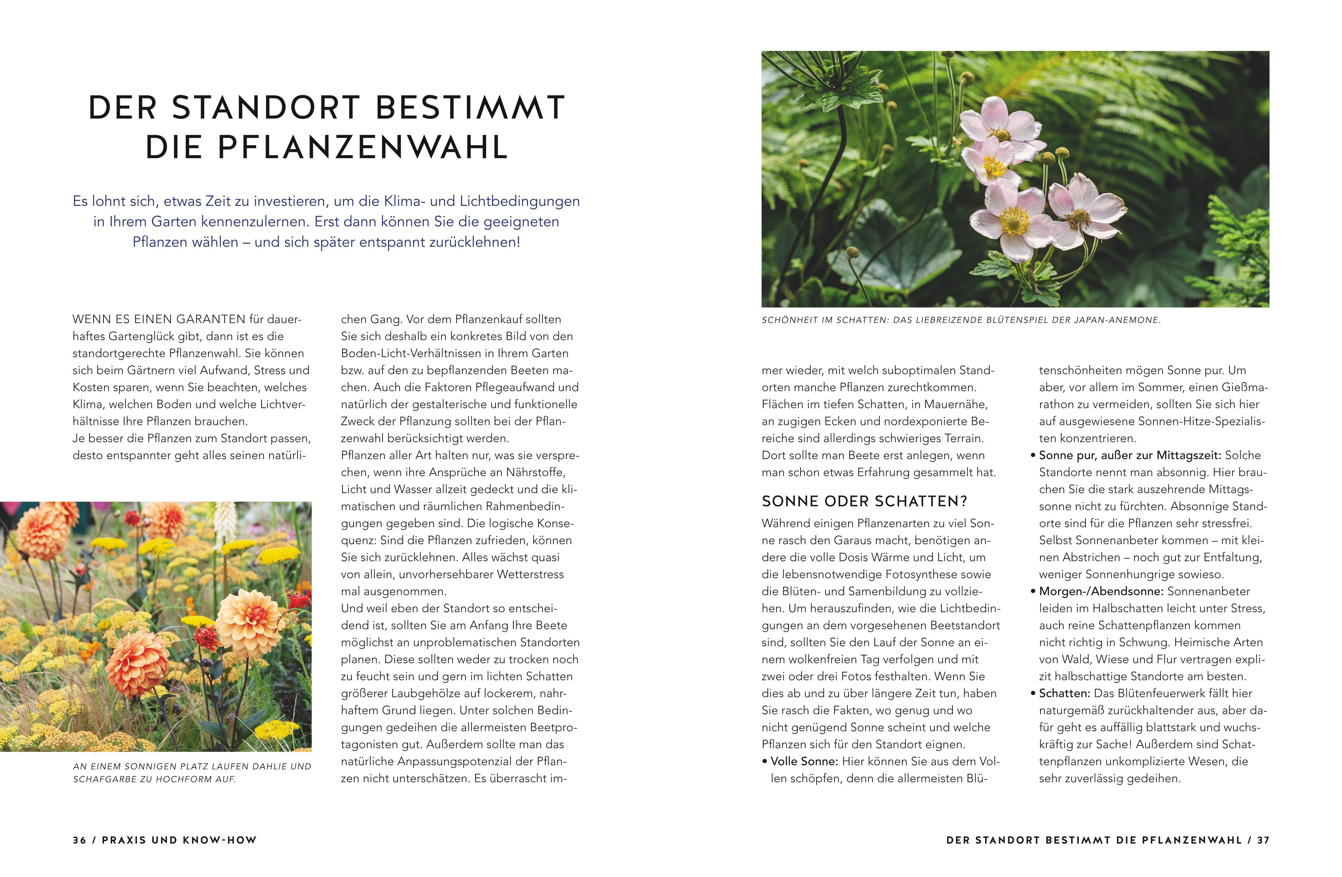 Beispielinhalt (Bild) Schöne Beete für Faule