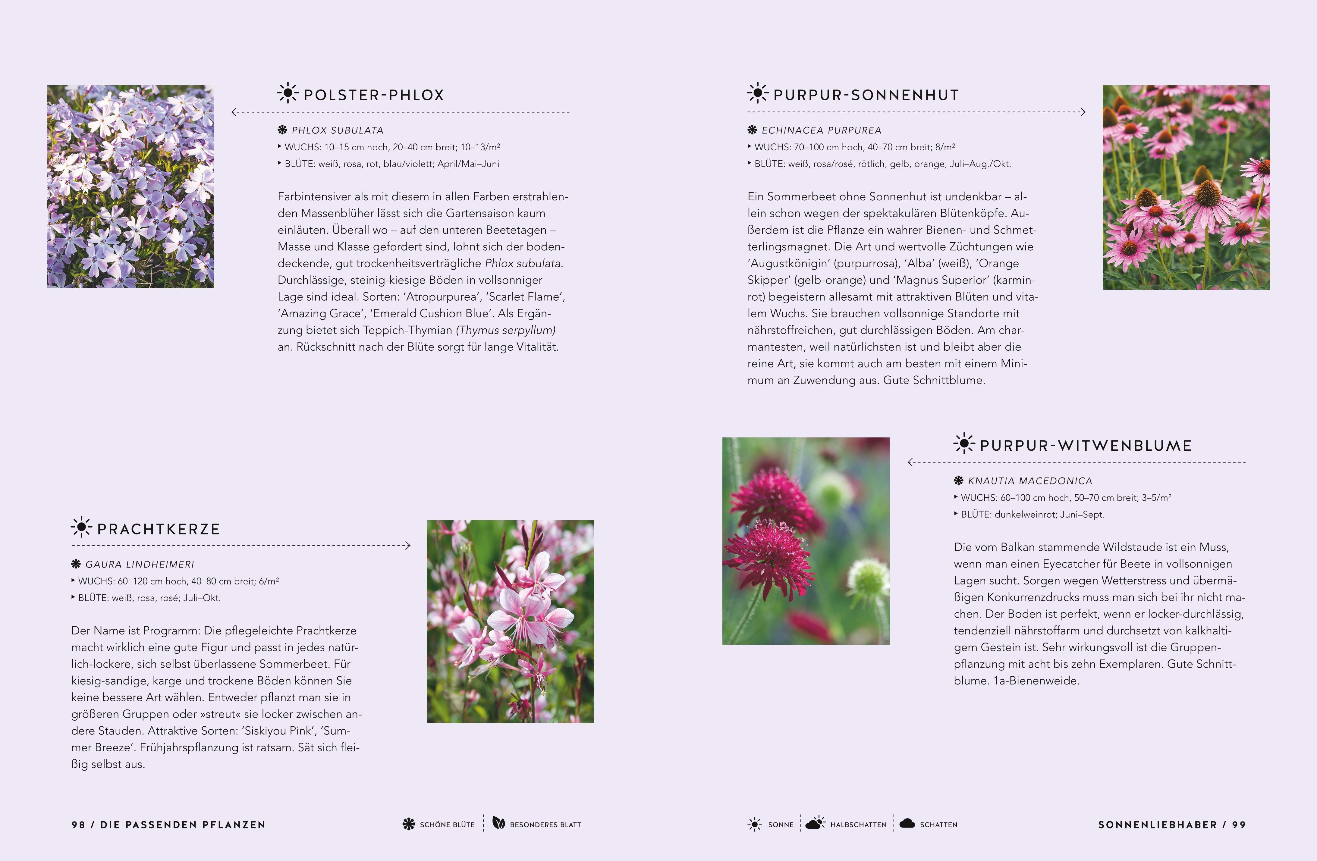 Beispielinhalt (Bild) Schöne Beete für Faule