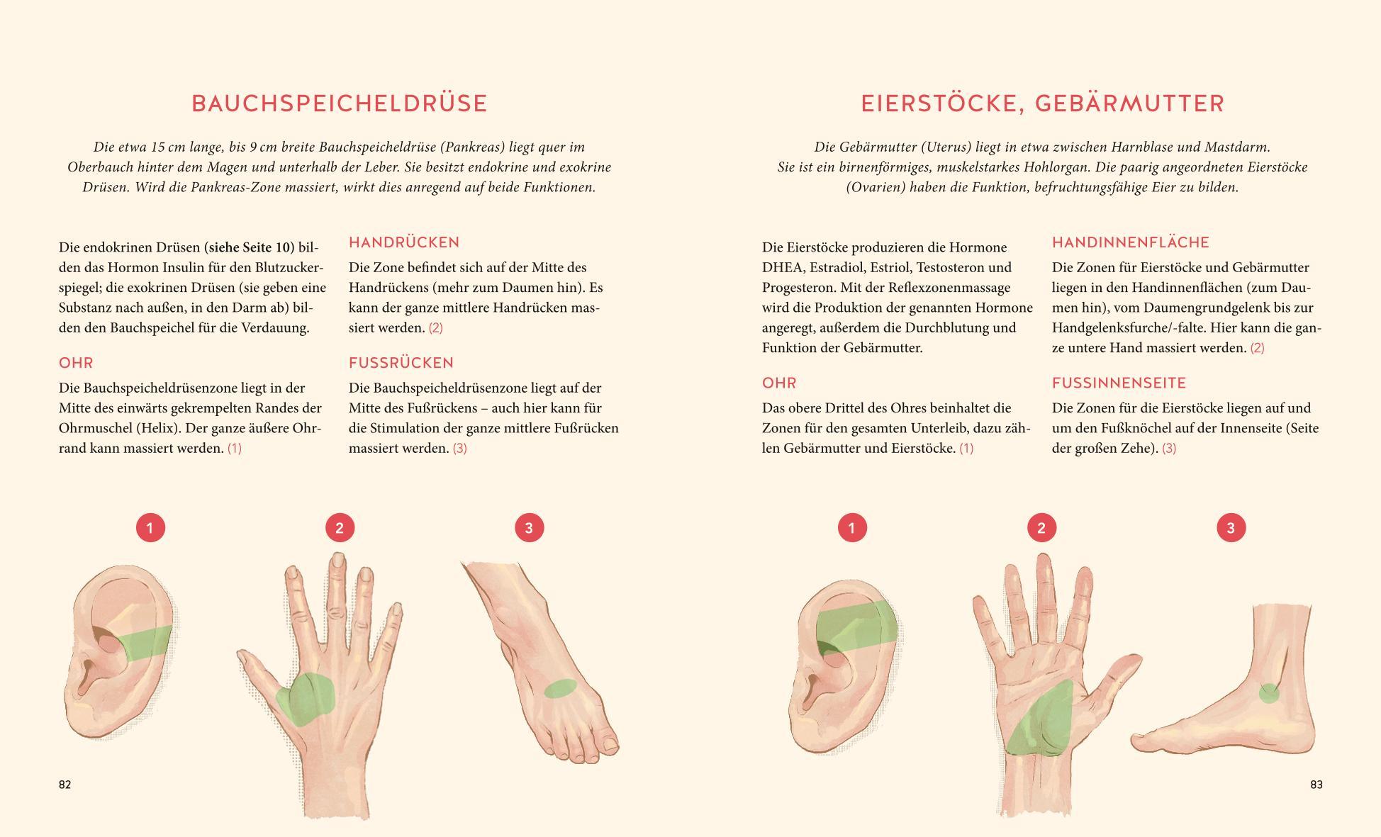 Beispielinhalt (Bild) Hormone natürlich regulieren