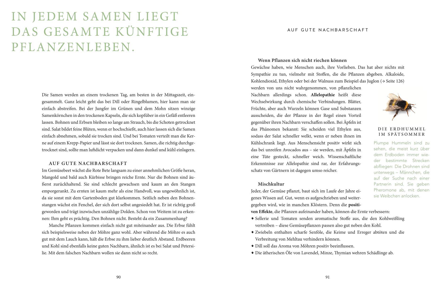 Beispielinhalt (Bild) Das grüne Wunder