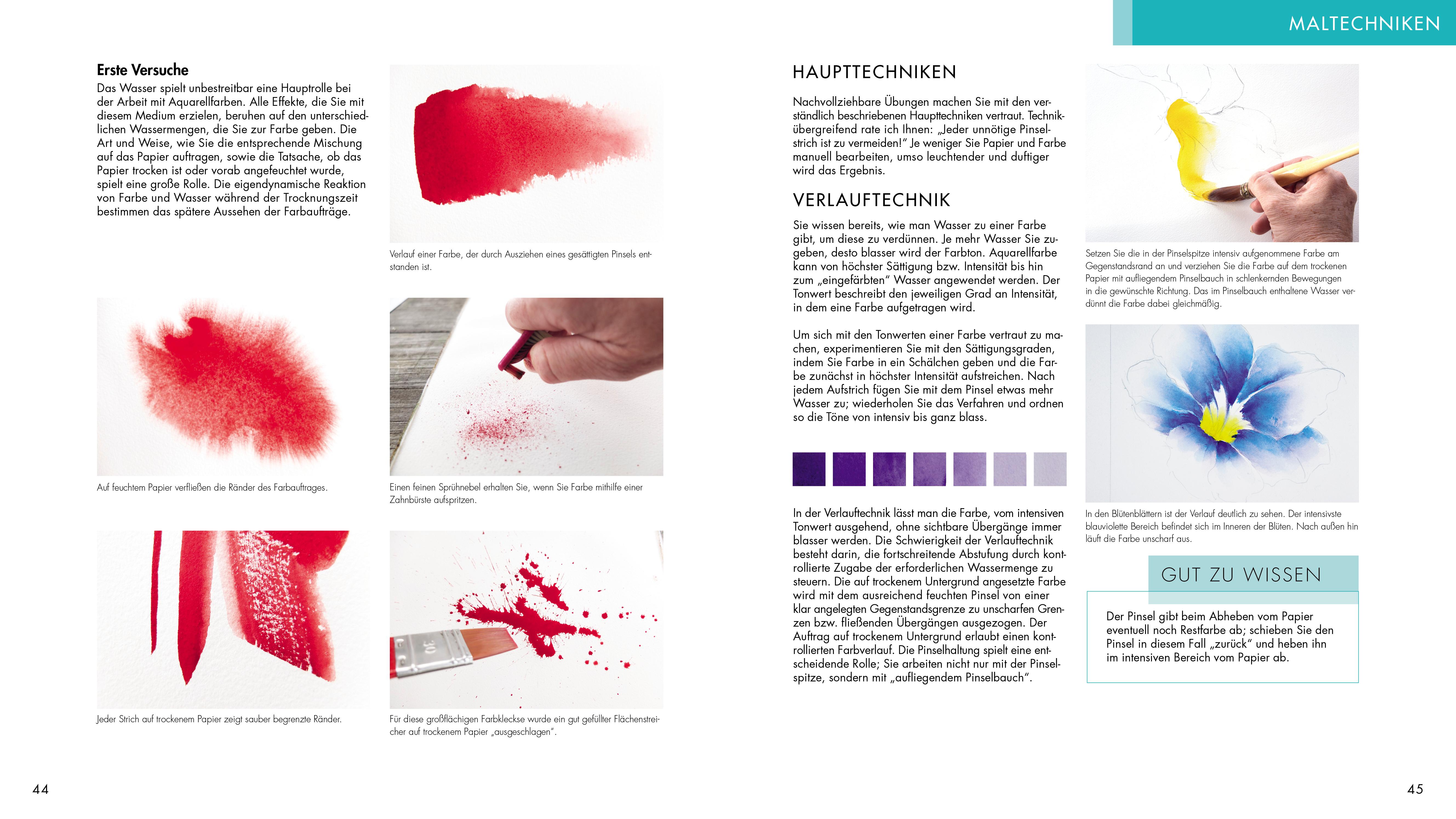 Beispielinhalt (Bild) Das neue Aquarell-Praxis-Buch