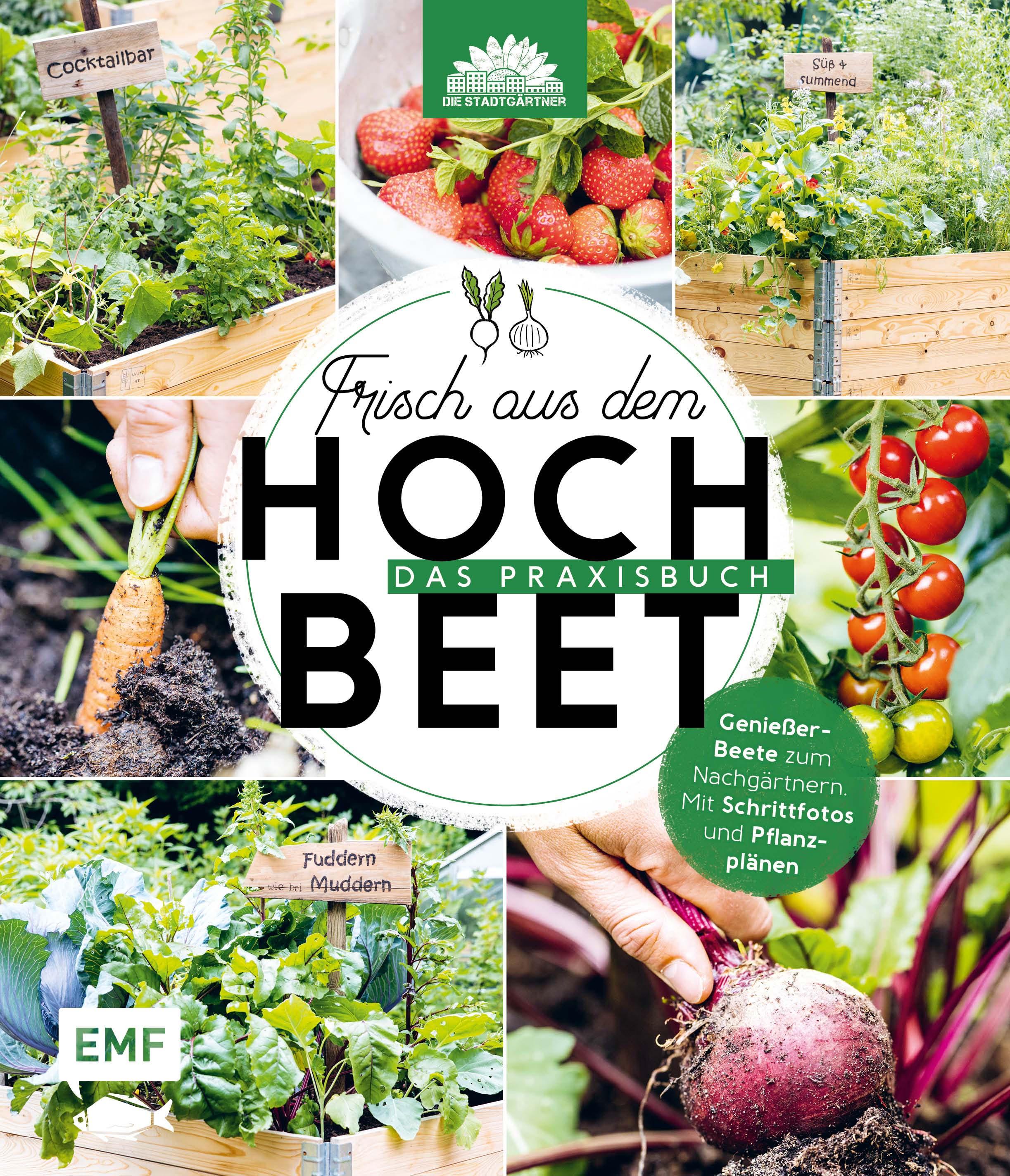 Vorderes Coverbild Frisch aus dem Hochbeet -Das Praxisbuch