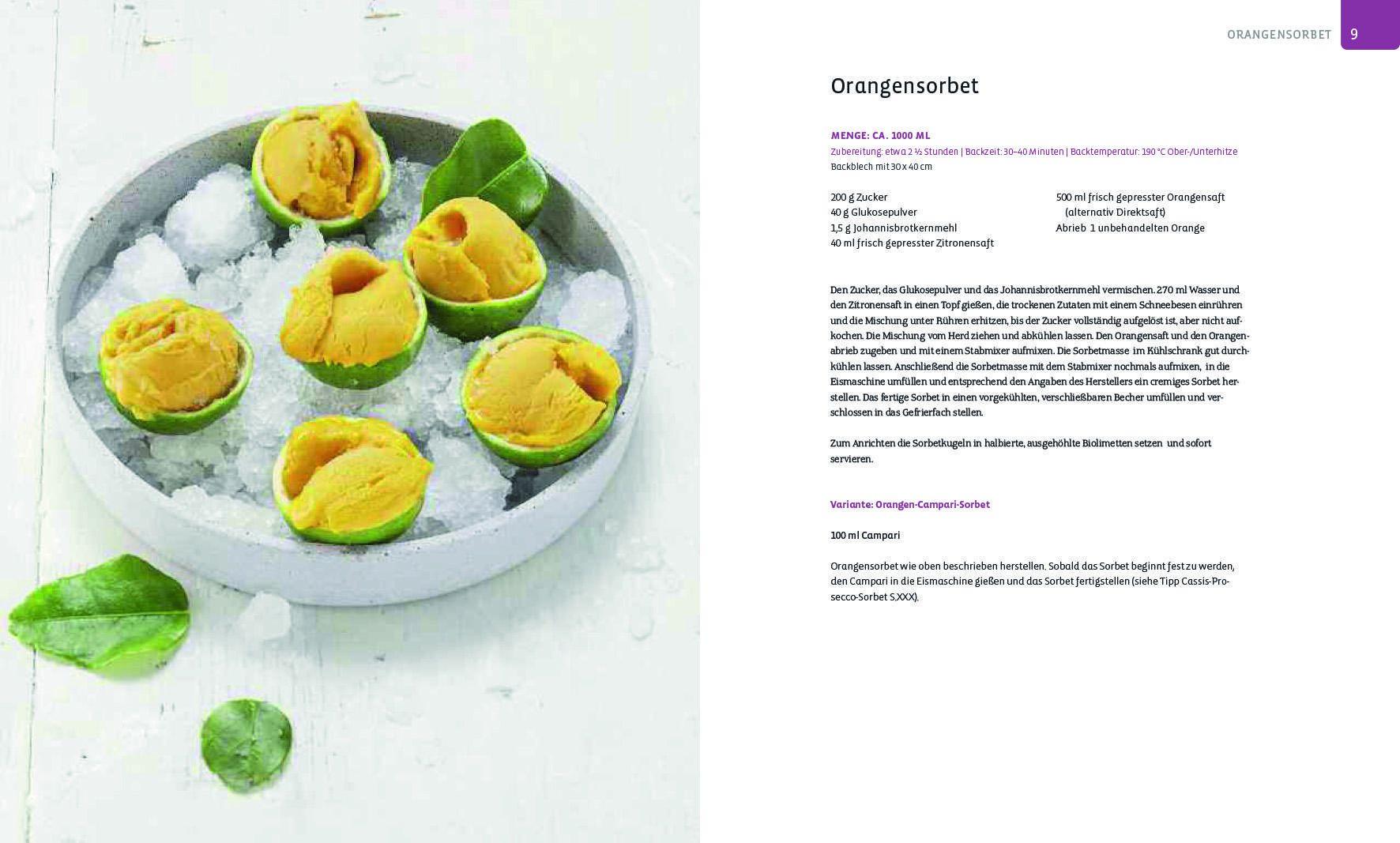 Beispielinhalt (Bild) Die Eis-Bibel