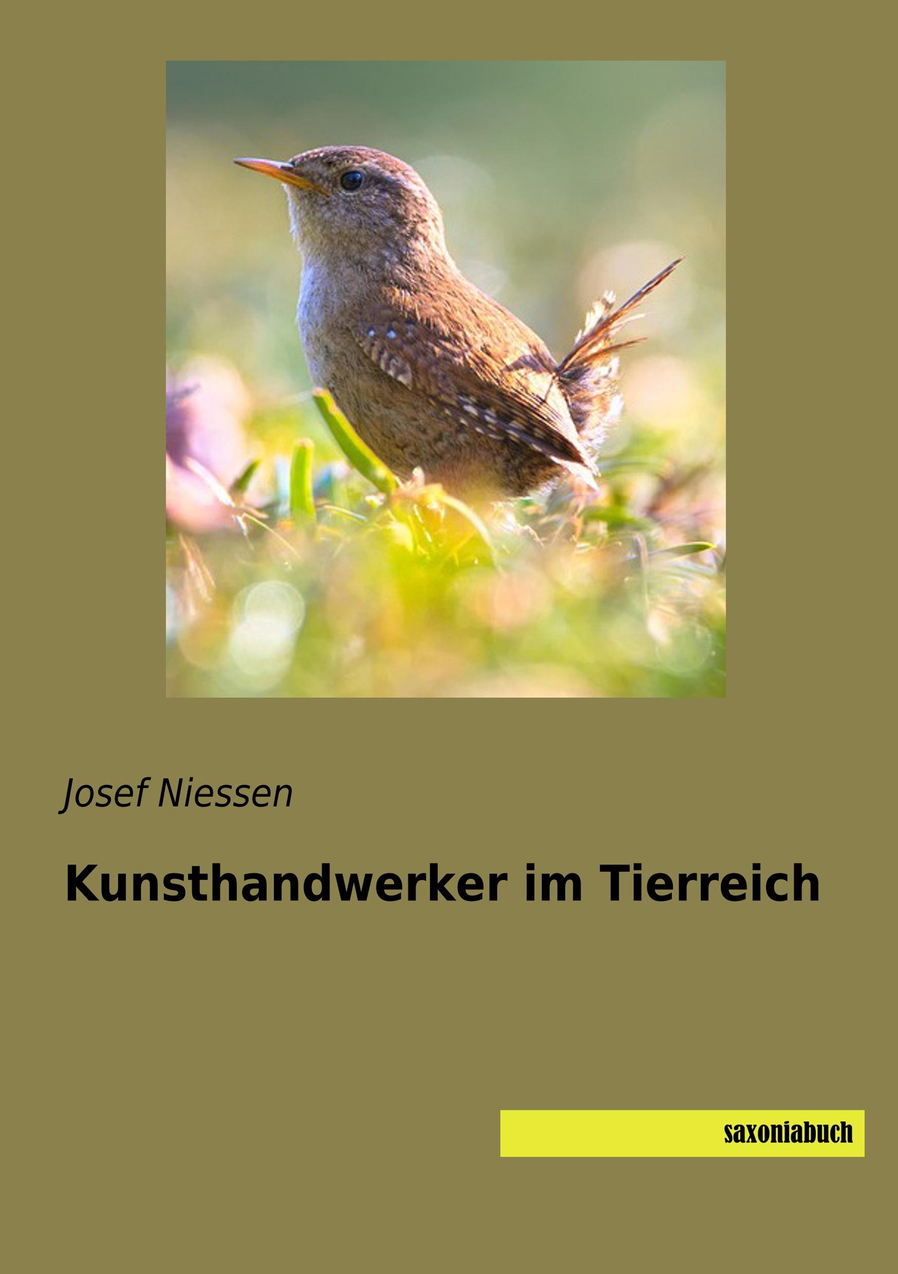 Vorderes Coverbild Kunsthandwerker im Tierreich