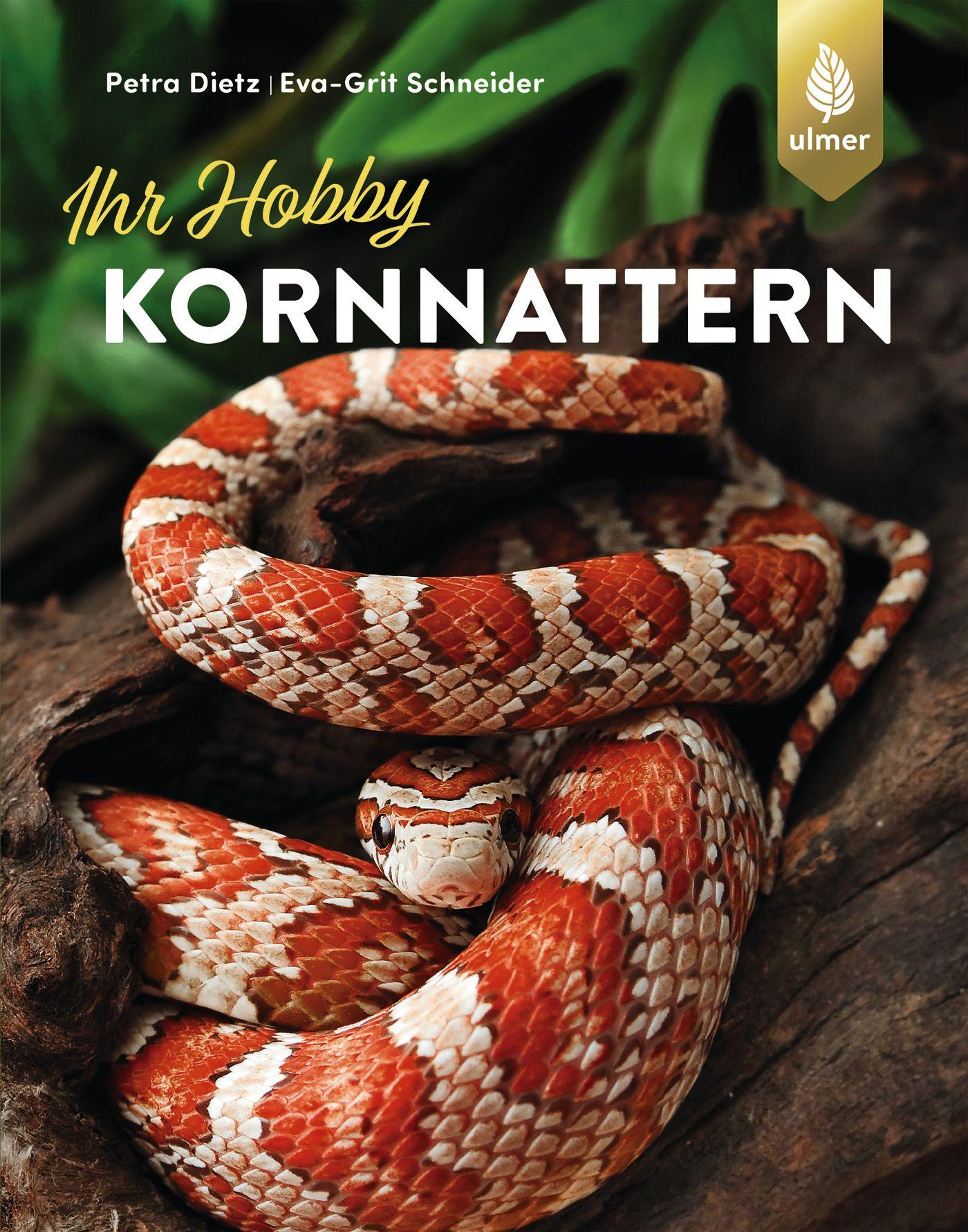 Vorderes Coverbild Kornnattern