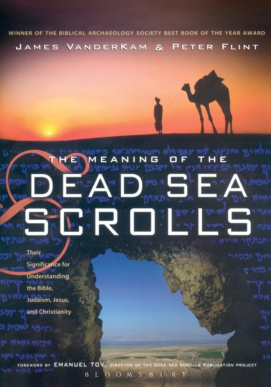 Vorderes Coverbild The Meaning of the Dead Sea Scrolls