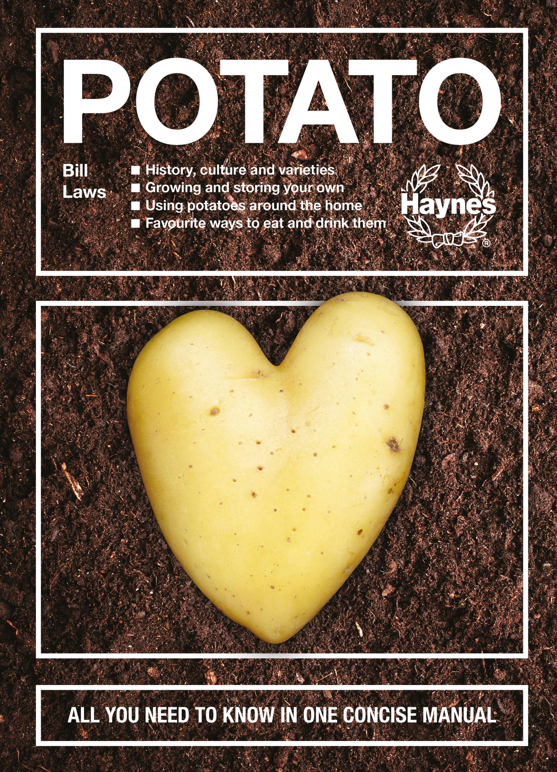 Vorderes Coverbild The Potato