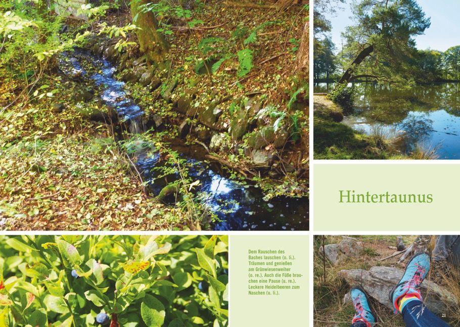 Beispielinhalt (Bild) Vergessene Pfade Taunus