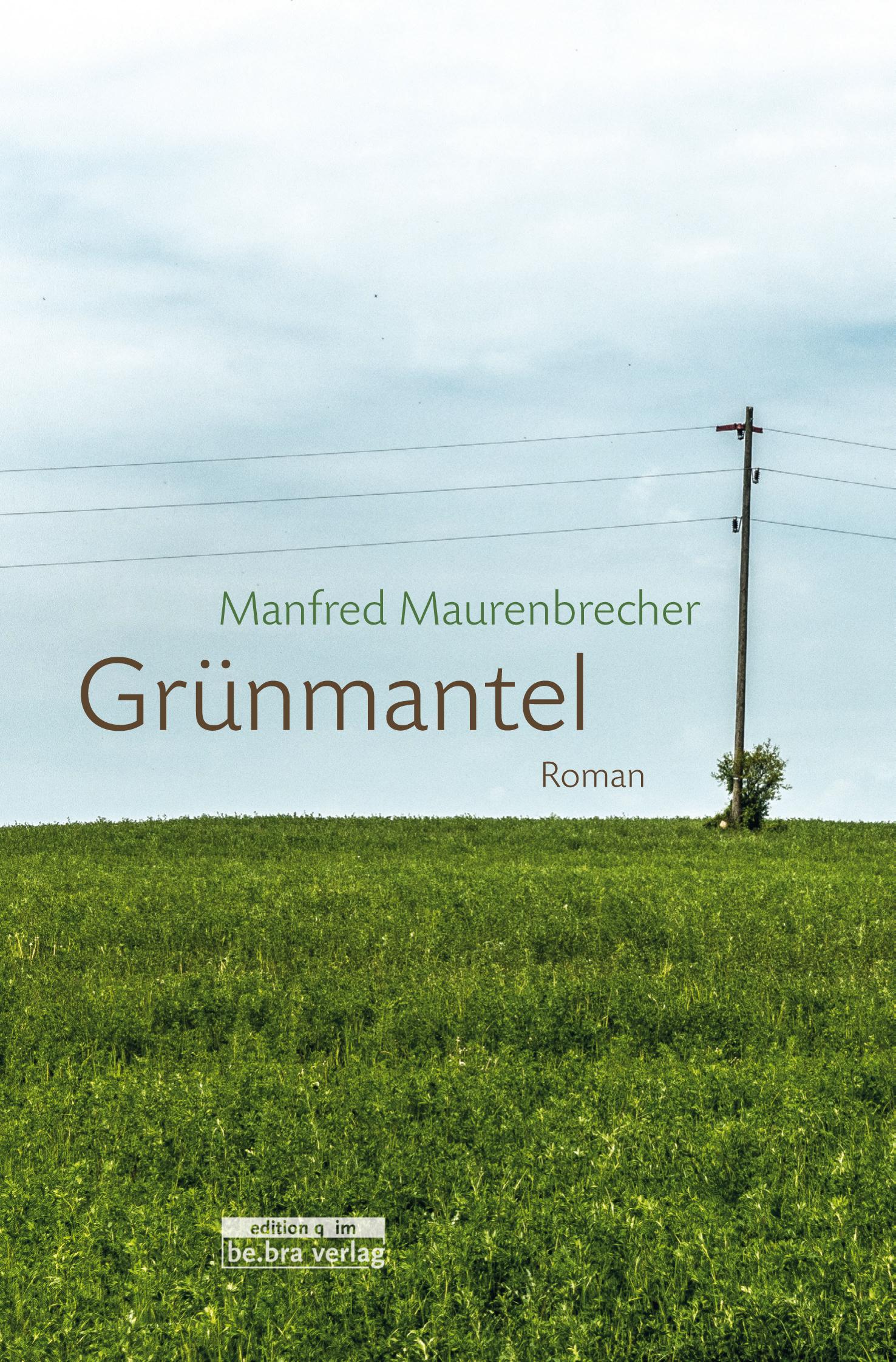 Vorderes Coverbild Grünmantel