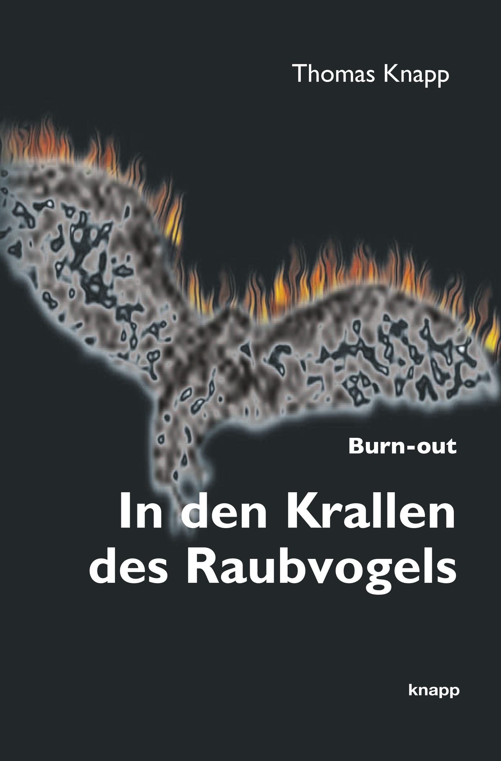 Vorderes Coverbild In den Krallen des Raubvogels