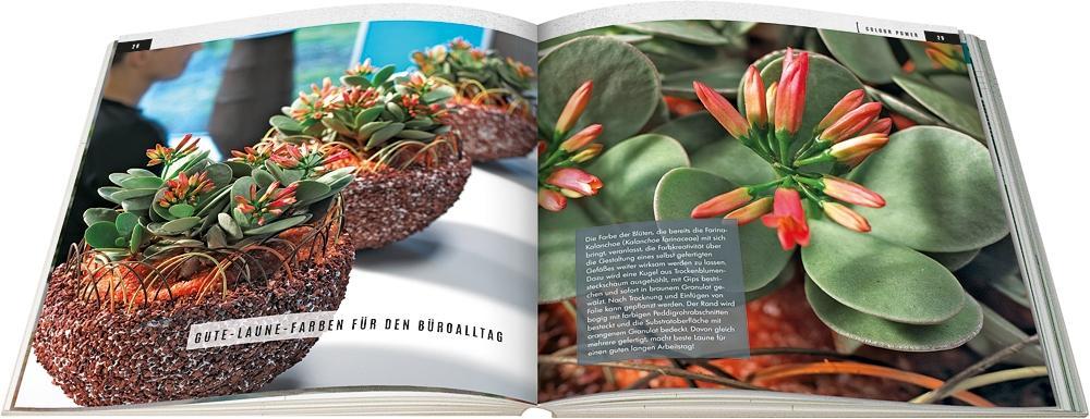 Beispielinhalt (Bild) Sukkulenten mit Style