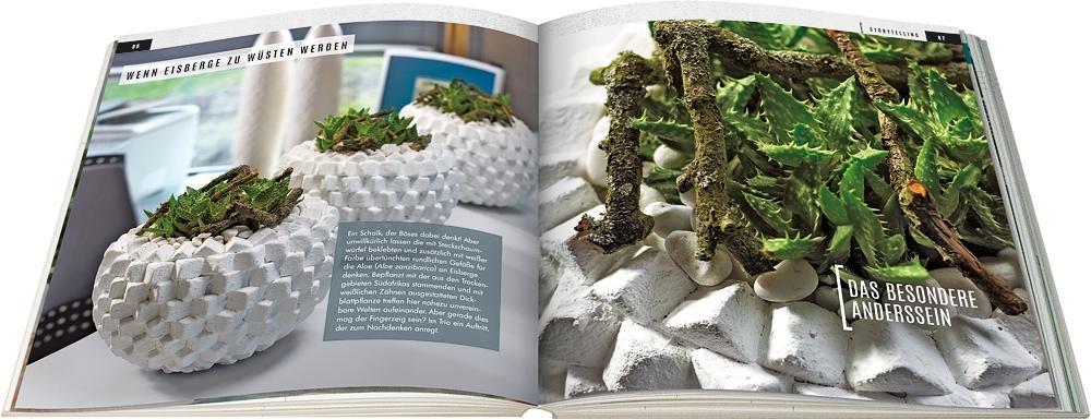 Beispielinhalt (Bild) Sukkulenten mit Style